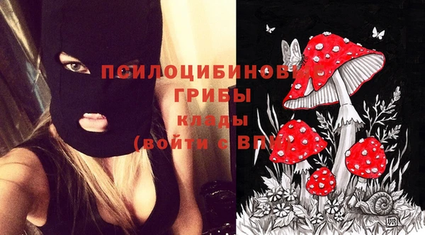 герыч Кодинск