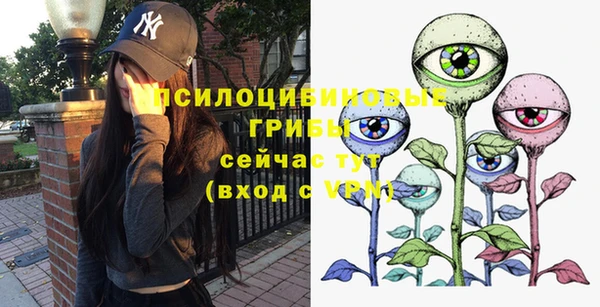 бошки Бугульма