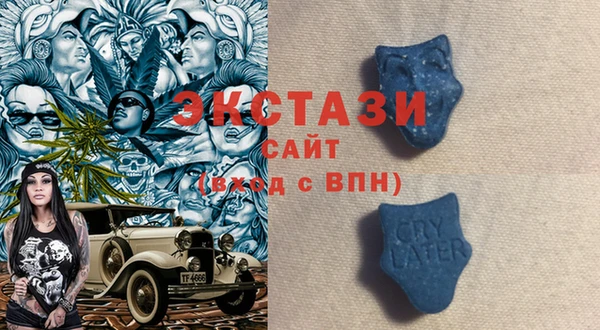 гашик Козловка