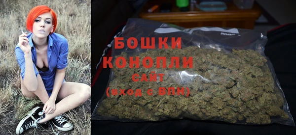гашик Козловка