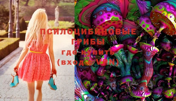 гашик Козловка