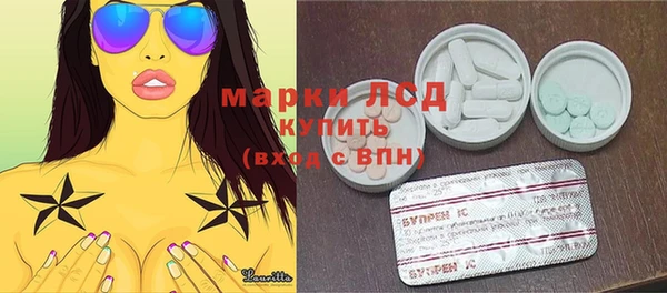 гашик Козловка