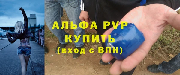 гашик Козловка