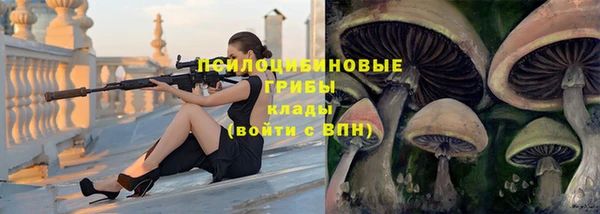 прущие грибы Коряжма