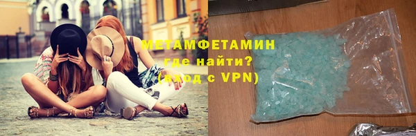 прущие грибы Корсаков